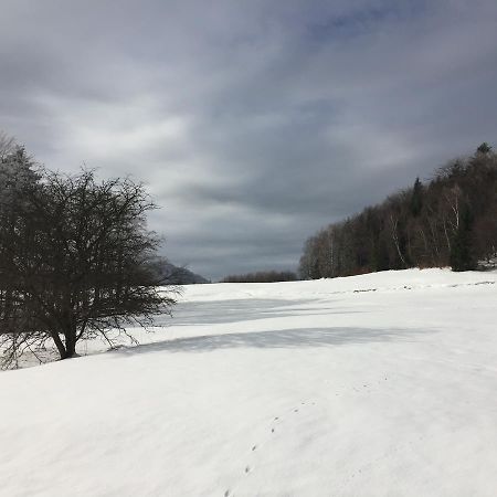 Pokoje Goscinne Vida Krynica-Zdrój Esterno foto