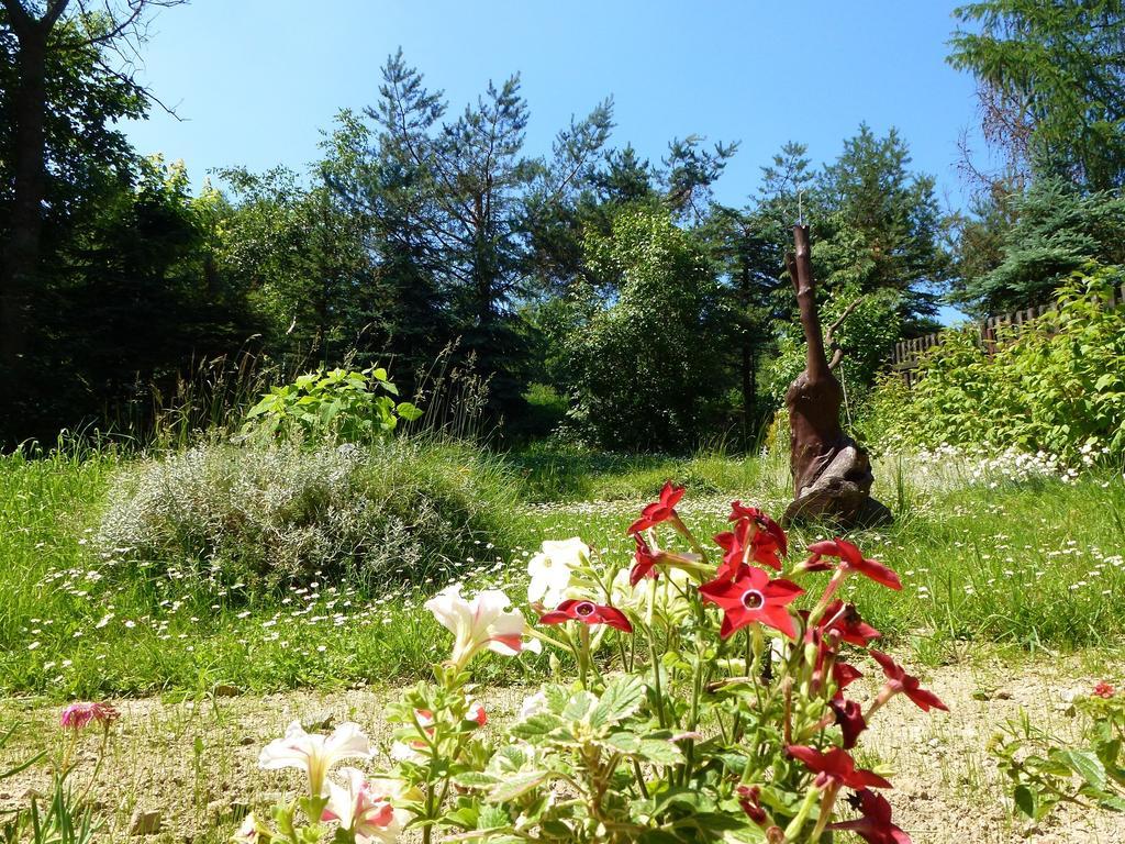 Pokoje Goscinne Vida Krynica-Zdrój Esterno foto