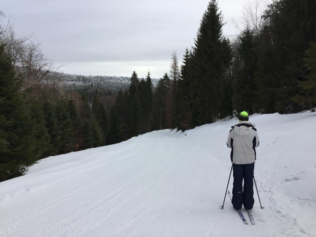 Pokoje Goscinne Vida Krynica-Zdrój Esterno foto