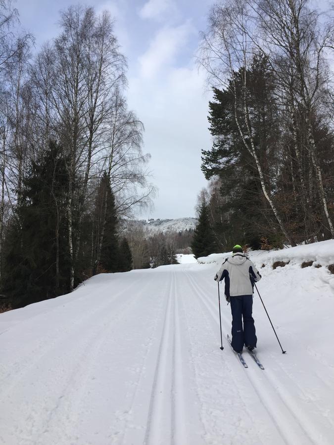 Pokoje Goscinne Vida Krynica-Zdrój Esterno foto